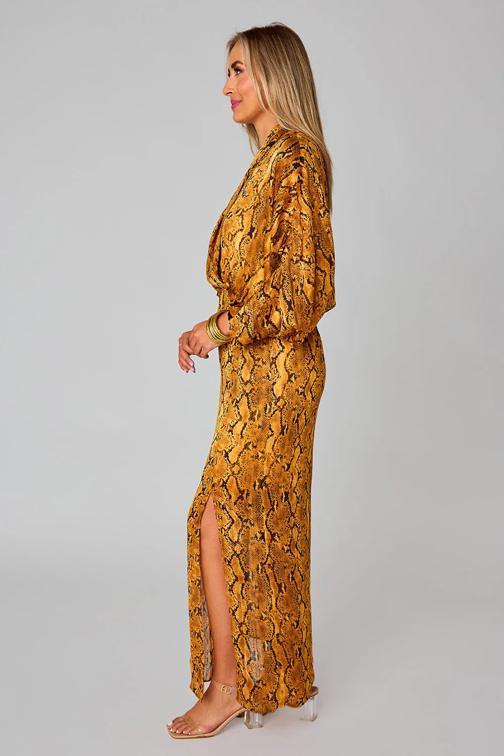 Jude Long Sleeve Maxi Dress - Snake Charmer