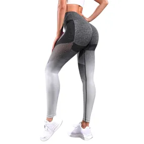 Mila Ombre Hollow Out Leggings