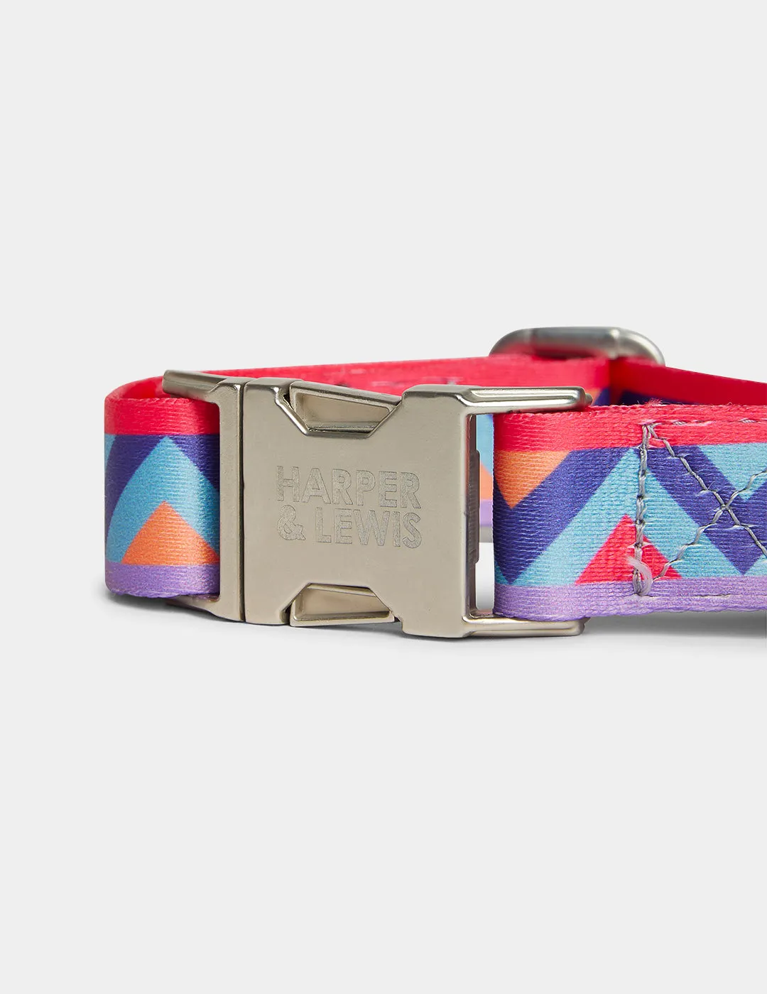 Raver Dog Collar XL